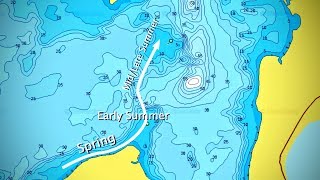 Walleye Movement Explained Map Example [upl. by Korb219]