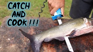 CATCH and COOK Channel Catfish DELICIOUS Grilled Fillets [upl. by Eidac]