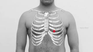 CARDIOVASCULAR SYSTEM EXAMINATION  CLINICAL LAB  PHYSIOLOGY PRACTICALS [upl. by Nariko]