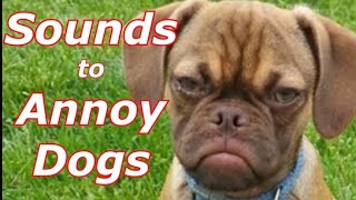 Sounds To Annoy Dogs [upl. by Bambi]