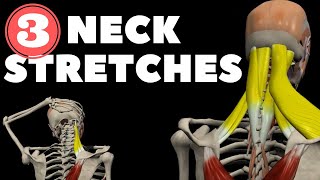 Release Neck amp Shoulder Tension in 30 seconds NO STRETCHING Feldenkrais Style [upl. by Enelrak]