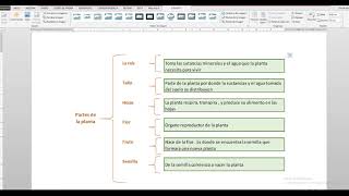 CUADRO SINOPTICO EN EXCEL Y COPIAR A WORD [upl. by Irmo]