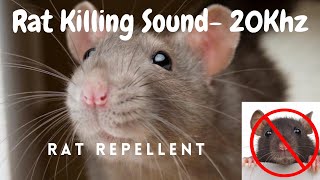 Anti Rat Repellent  Mouse Killer Sound  Very High Pitch Sound  20Khz  Kill Rats using mobile [upl. by Ainaznat]