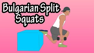 How To Do Bulgarian Split Squat Exercise For Beginners With Dumbbells Weights  Single Leg Squats [upl. by Akinit]