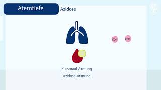 Die Atmung Normwerte und Abweichungen [upl. by Hgielsel]