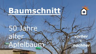 Baumschnitt Apfelbaum 50 Jahre  vorher amp nachher [upl. by Acnayb]