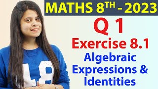 Q 1  Ex 81  Algebraic Expressions amp Identities  Ch 8  Maths Class 8 New Syllabus CBSE 2023 [upl. by Gemperle]