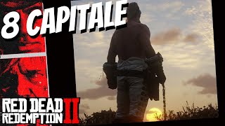 Dockside Contract Capitale Locations RDR2 [upl. by Enomar715]