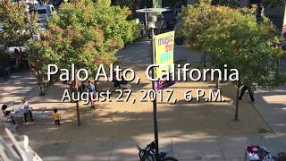 Finlandia Flash Mob  Palo Alto California [upl. by Orit]