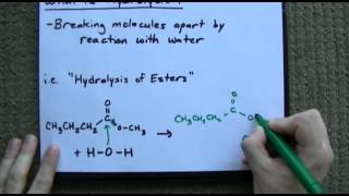 What is Hydrolysis  Examples [upl. by Chyou146]