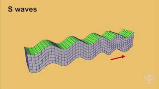 Seismic waves earthquake [upl. by Alyakem996]