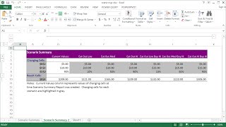 How to Use Excel Scenario Manager [upl. by Ahsikin488]