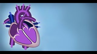 Fetal Circulation by L McCabe  OPENPediatrics [upl. by Leid862]