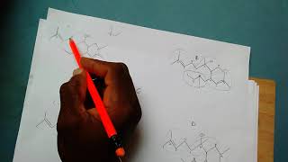 How to identify a Terpene and its isoprene units [upl. by Camfort]