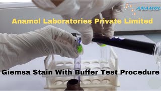 Giemsa Stain with Buffer Test Procedure [upl. by Caryn]