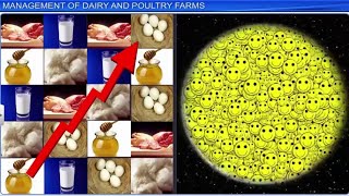 CBSE Class 12 Biology  Strategies for Enhancement In Food Production  Full Chapter  By Shiksha [upl. by Arocat]