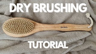 Dry Brushing Tutorial [upl. by Oiramaj]