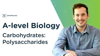 Carbohydrates Polysaccharides  Alevel Biology  OCR AQA Edexcel [upl. by Ziana]