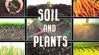 All About soil [upl. by Asertal534]