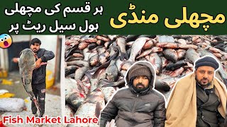 🦈 Fish Market Lahore Visit And Updates💡 First Farm [upl. by Markowitz]