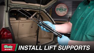 How To Install Tailgate Lift Supports On Your Vehicle [upl. by Hpesoj440]