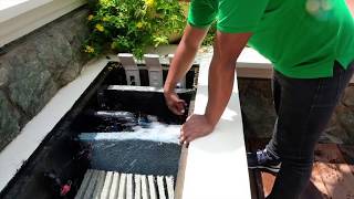 How to Clean Your Koi Pond Filter [upl. by Mathi358]