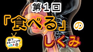 第1回「食べる」のしくみ 嚥下トレーニングチャンネル Swallowing structure SWALLOW TRAINING ASSOCIATION [upl. by Stacy747]