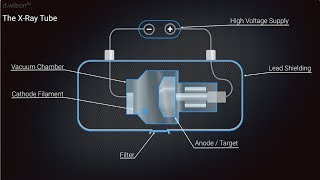 X Ray Production Animation [upl. by Naujid]