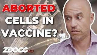 Aborted Fetal Tissue amp COVID Vaccines  A Doctor Explains [upl. by Suinotna]