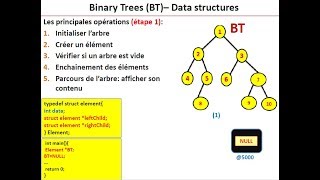 Les arbres binaires  structures de données  cours amp exemple [upl. by Demaggio675]