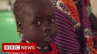 The ongoing struggle for peace in Darfur  BBC News [upl. by Ardnoek]