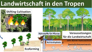 Landwirtschaft in den Tropen Zusammenfassung  Erdkunde Oberstufe Abitur [upl. by Retsae114]