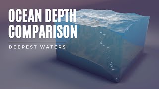 Ocean Depth Comparison 3D  Deepest Waters [upl. by Dinsdale990]