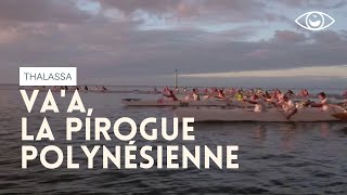 Vaa la pirogue polynésienne  Thalassa [upl. by Spiros]