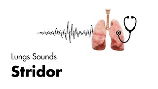 Stridor  Lung Sounds  MEDZCOOL [upl. by Aidua648]