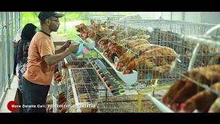 Poultry farming with modern facilities Furnished cage [upl. by Piefer]