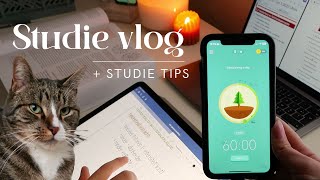 STUDIE VLOG  Samenvatten en Studie Tips [upl. by Anyk]