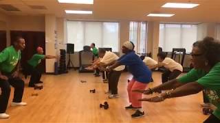 Strength Training Workout for Older Adults [upl. by Okuy288]