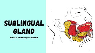 Chronic Salivary Gland Swelling  It Happened Again [upl. by Akiras686]