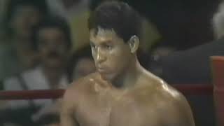 Hector Camacho vs Howard Davis [upl. by Alyakcm]