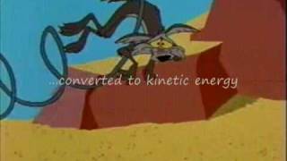 Potential Energy Wile E Coyote amp Roadrunner [upl. by Ynahpets651]