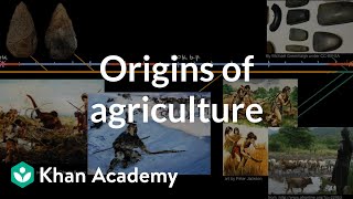 Origins of agriculture  World History  Khan Academy [upl. by Eyma]