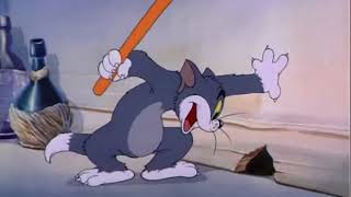 Tom Cats Pursuits of Jerry Mouse [upl. by Ydissahc]