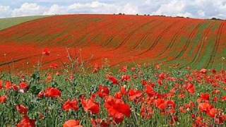 In Flanders Fields by John McCrae May 1915 [upl. by Nirrep]