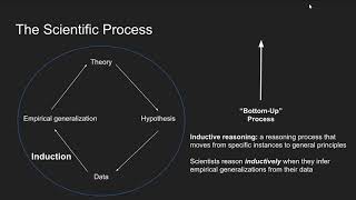 The Scientific Process Inductive and Deductive Reasoning [upl. by Tildy]