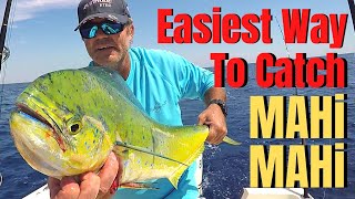 How To Catch MAHI MAHI the easiest way LURES GEAR TROLLING BASICS amp TACTICS [upl. by Adnilab]