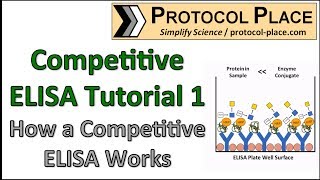 Competitive ELISA Tutorial 1 How a Competitive ELISA Works [upl. by Oirad]