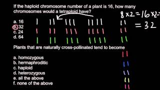 Haploid diploid triploid and tetraploid plants [upl. by Sedicla]