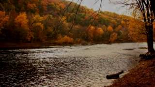 SHENANDOAHTraditional American Folk Song Performed by Tom Roush [upl. by Nerha]