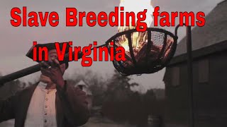 Slave Breeding farms in Virginia [upl. by Catriona]